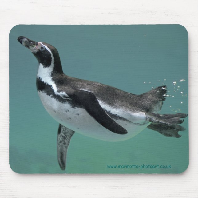 Underwater Ballet Mousemat (Front)