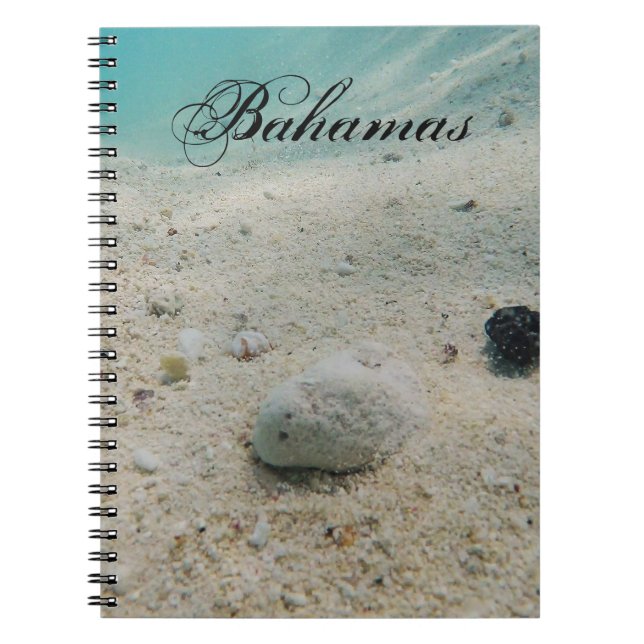 Underwater Beach Life Notebook (Front)