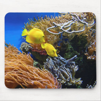 Underwater Beauty, Fish and Coral Mouse Pad