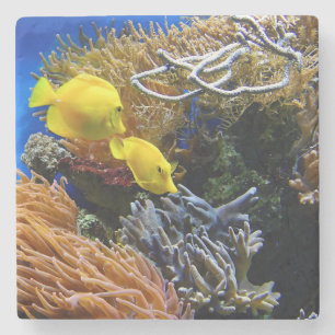 Underwater Beauty, Fish and Coral Stone Coaster