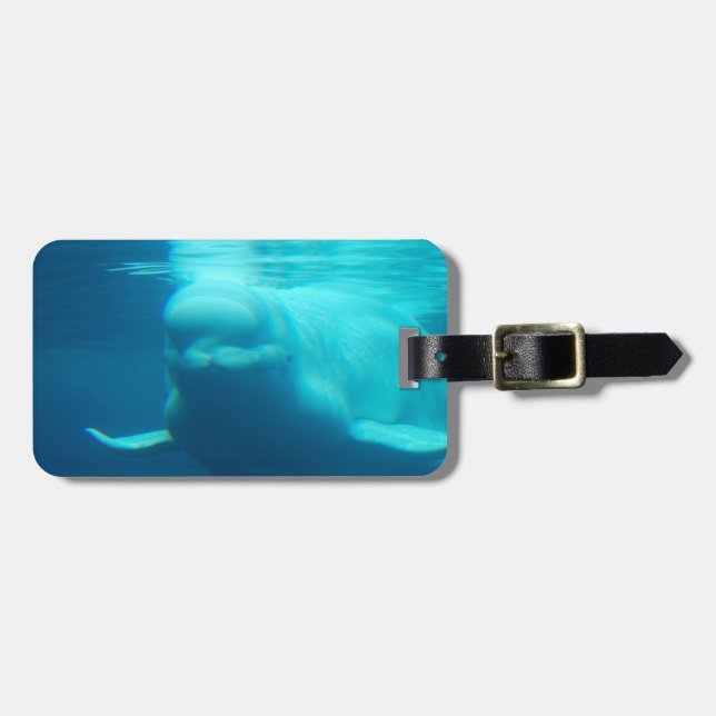 Underwater Beluga Whale Luggage Tag (Front Horizontal)