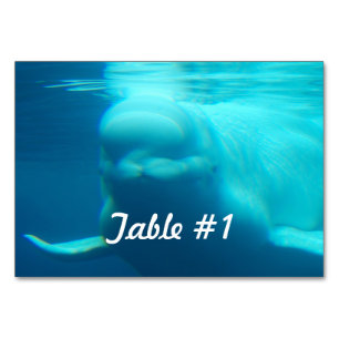 Underwater Beluga Whale Table Number