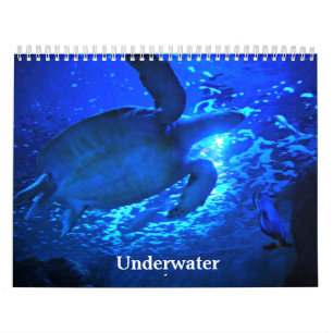 Underwater Calendar