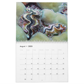 Underwater Calendar -- Palau