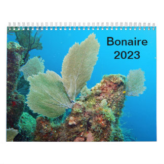 Underwater Calendar -- Roatan, Honduras