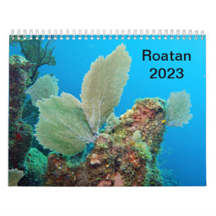 Underwater Calendar -- Roatan, Honduras