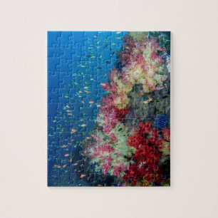 Underwater coral reef, Indonesia Jigsaw Puzzle