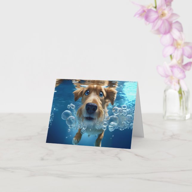 Underwater Dog Swimming Bubbles Blue Eyes Blank Card (Orchid)