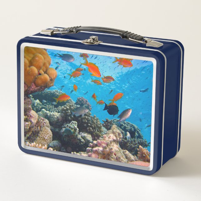 Underwater Fish and Coral Scene Metal Lunch Box (Front)