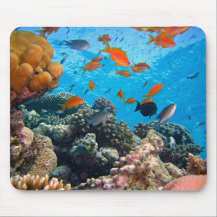 Underwater Fish and Coral Scene Mouse Pad