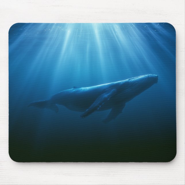 Underwater Humpback Whale Mouse Pad (Front)