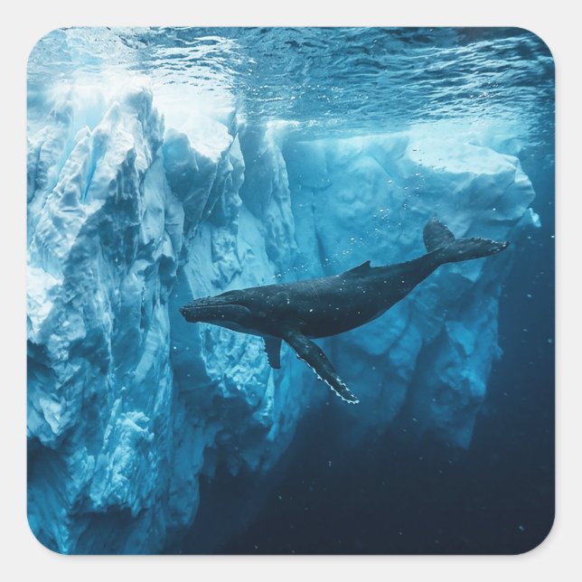 Underwater iceberg and a Humpback Whale Square Sticker (Front)