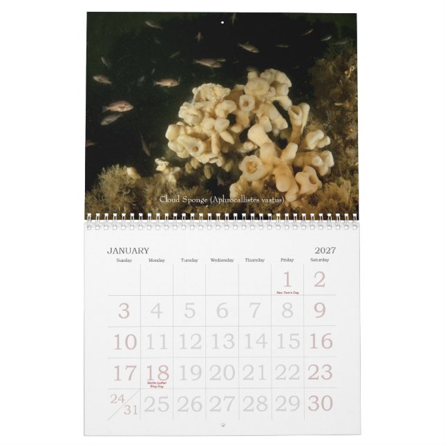 Underwater Journeys 2010 Calendar (Jan 2027)