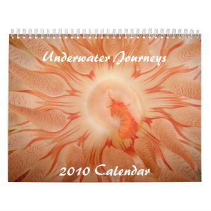 Underwater Journeys 2010 Calendar