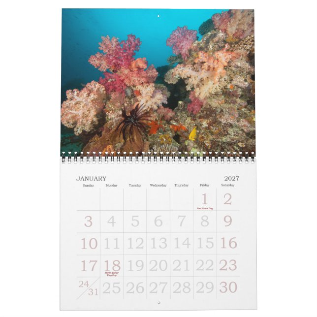 Underwater Journeys 2011 Calendar (Jan 2027)