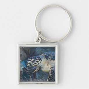 Underwater Life: A Hawksbill Sea Turtle Key Ring