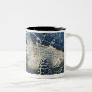 Underwater Life: A Hawksbill Sea Turtle Two-Tone Coffee Mug