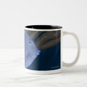 Underwater life: Acanthurus coeruleus with sea Two-Tone Coffee Mug