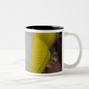 Underwater Life, FISH:  A colourful tropical Two-Tone Coffee Mug