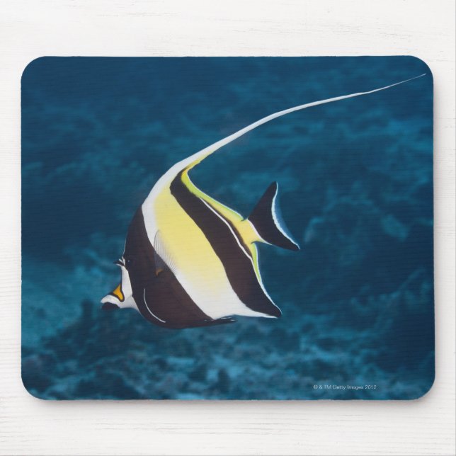 Underwater life;FISH: A Moorish Idol (Zanclus Mouse Pad (Front)
