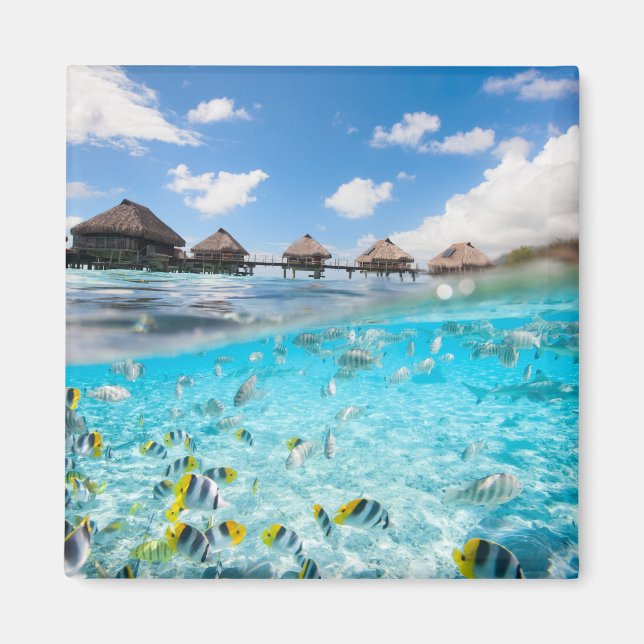 Underwater life magnet (Front)
