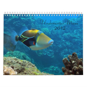 Underwater Maui Calendar