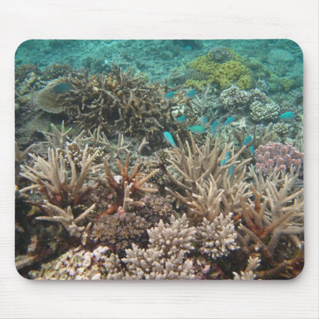 Underwater Mouse Pad (Front)