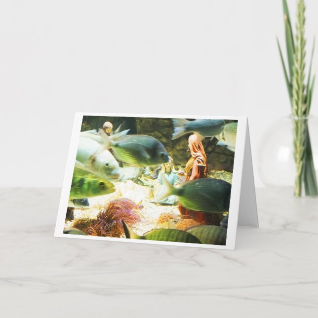 Underwater nativity holiday card (Front)