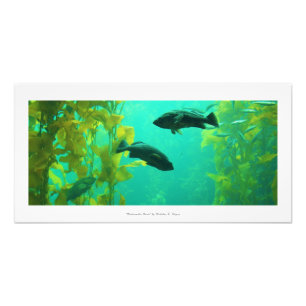 "Underwater Oasis" Nature Photo Print