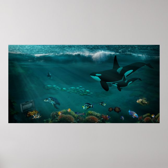 Underwater Ocean Killer Whales Sea Turtles Fish Poster (Front)