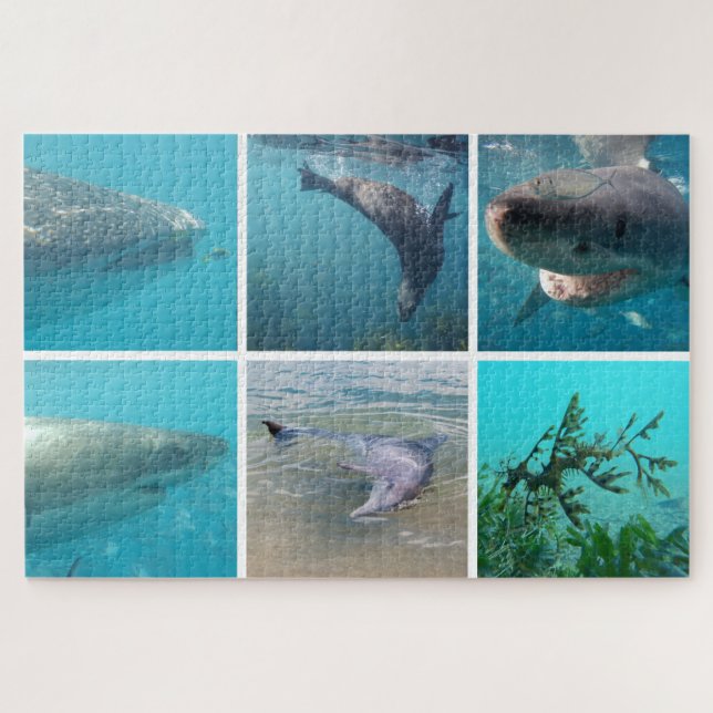 Underwater Ocean Life Animals, 1014 pieces Jigsaw Puzzle (Horizontal)