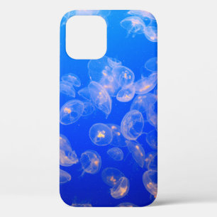 UNDERWATER PHOTOGRAPHY OF JELLYFISH iPhone 12 CASE