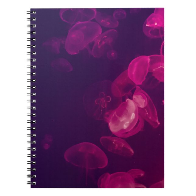 UNDERWATER PHOTOGRAPHY OF JELLYFISH NOTEBOOK (Front)