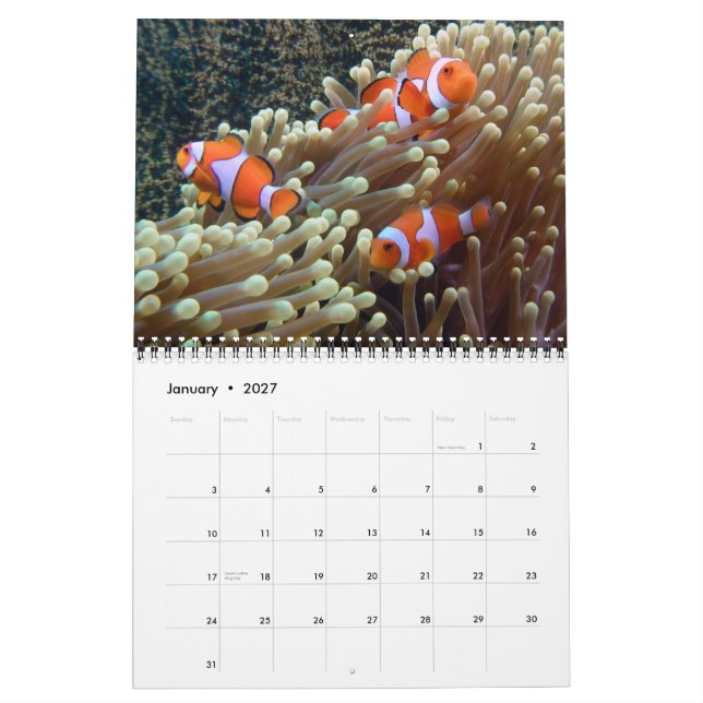 Underwater Photos 2012 Calendar (Jan 2027)