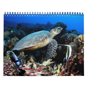 Underwater Photos 2012 Calendar