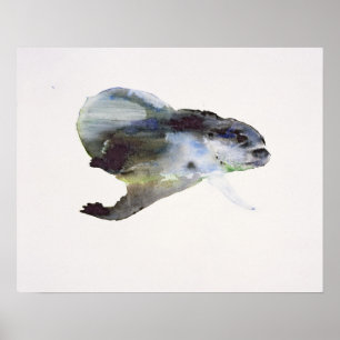 Underwater Poster