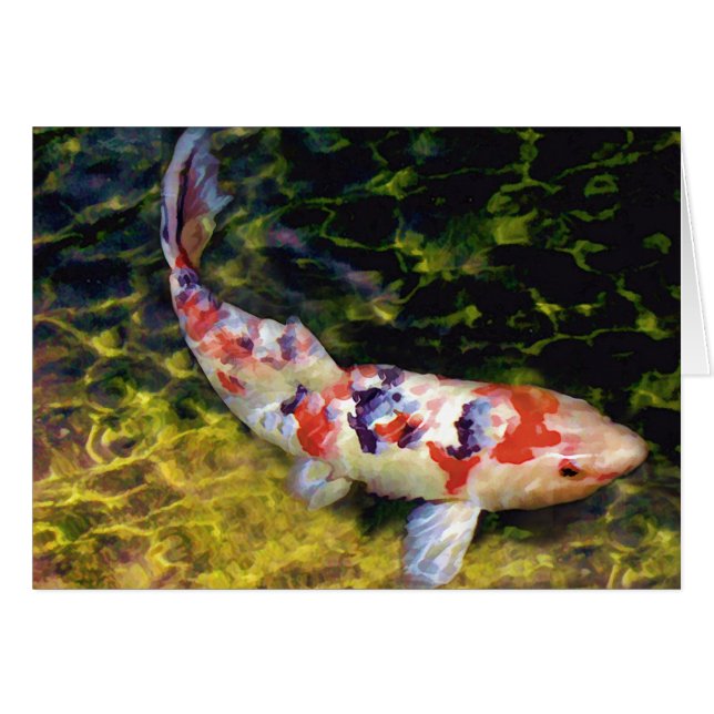 Underwater Sanke Koi (Front Horizontal)