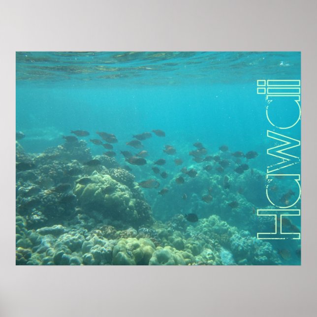 Underwater scene coral reef Hawaii poster (Front)
