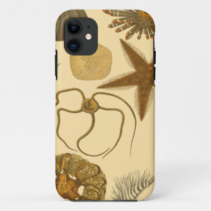 Underwater Sea Creatures iPhone 11 Case