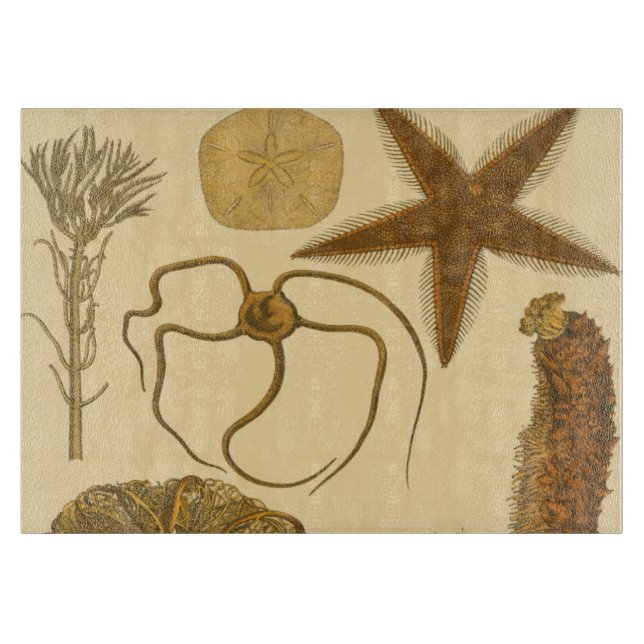 Underwater Sea Creatures Cutting Board (Front)