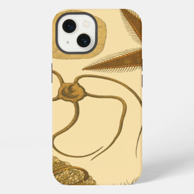 Underwater Sea Creatures iPhone Case (Back)