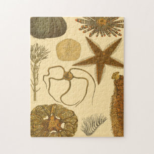 Underwater Sea Creatures Jigsaw Puzzle