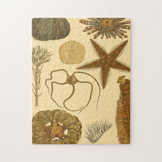 Underwater Sea Creatures Jigsaw Puzzle (Vertical)