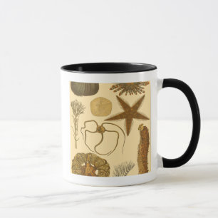Underwater Sea Creatures Mug