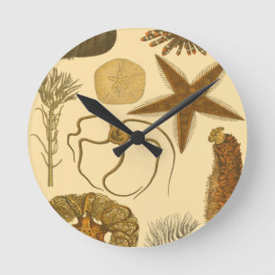 Underwater Sea Creatures Round Clock