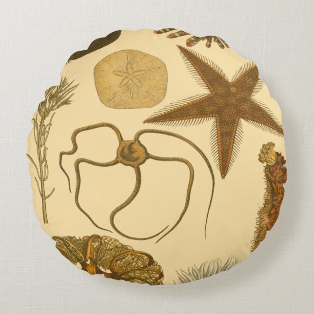 Underwater Sea Creatures Round Cushion (Front)