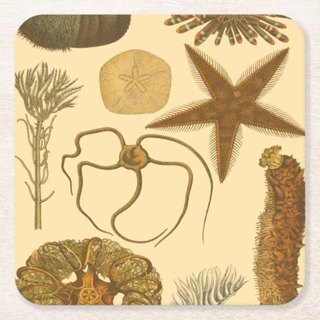 Underwater Sea Creatures Square Paper Coaster (Front)