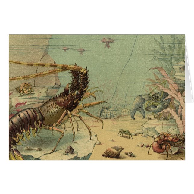 Underwater Sea Life Shrimp, Vintage Ocean Animals (Front Horizontal)