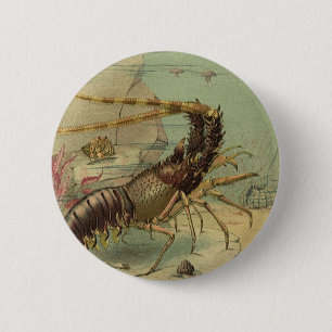 Underwater Sea Life Shrimp, Vintage Ocean Animals 6 Cm Round Badge