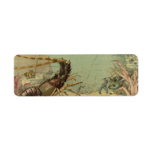 Underwater Sea Life Shrimp, Vintage Ocean Animals Return Address Label